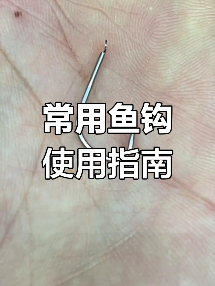 了解这6种鱼钩的用法,钓鱼技巧大揭秘