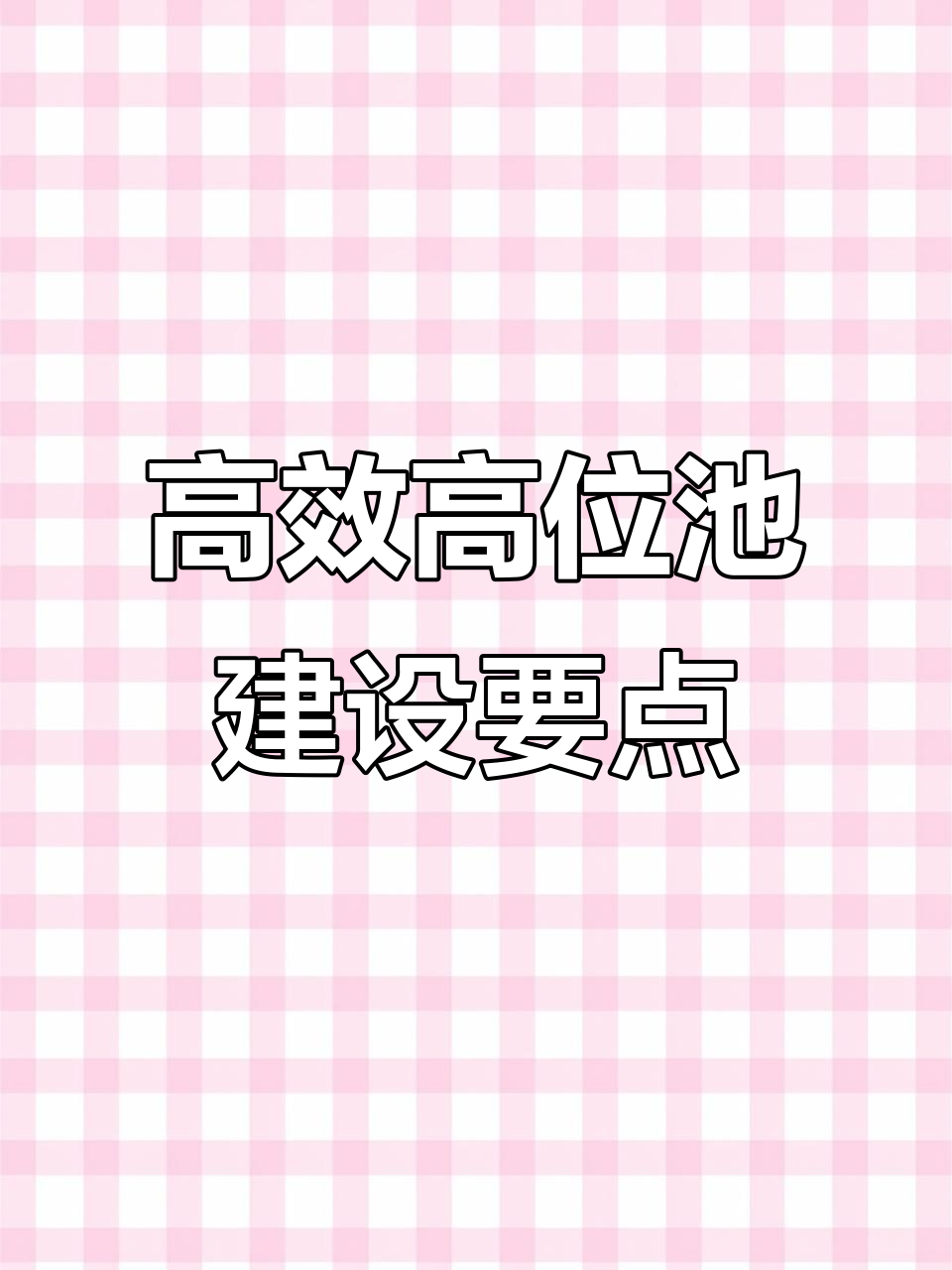 高位池建设的秘密:如何避免常见误区,提升养殖效率