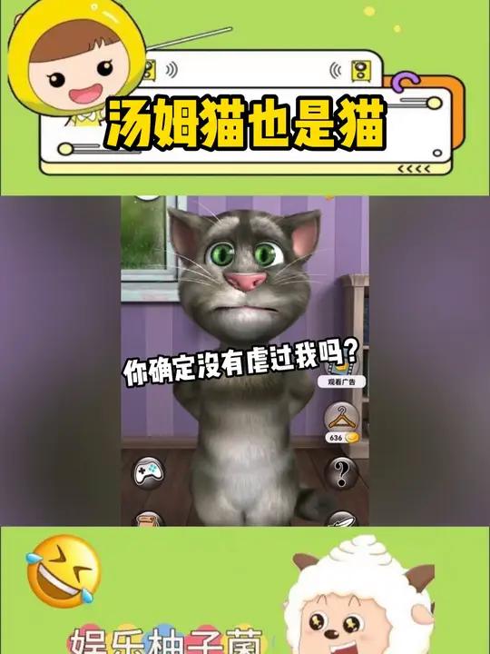 都过来给汤姆猫道歉 汤姆猫搞笑视频