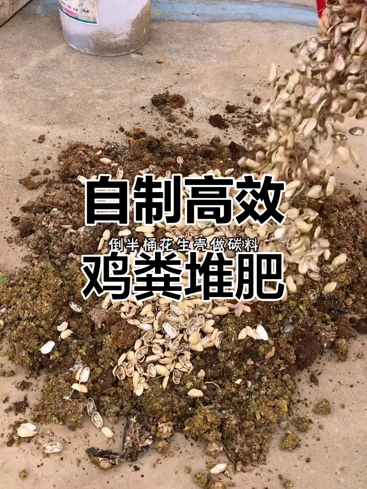 鸡粪堆肥制作全攻略,轻松搞定家庭肥料