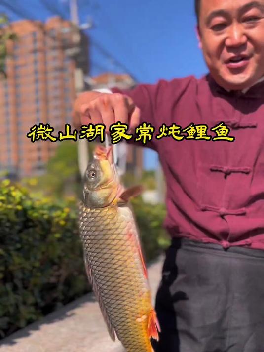 家乡的味道,家常炖鲤鱼,学会了让家人们也吃上微山味道