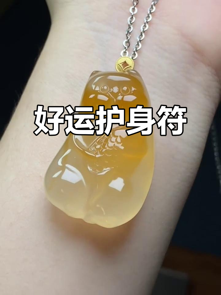 猫抱鱼,双重好运加持,事业家庭双丰收!