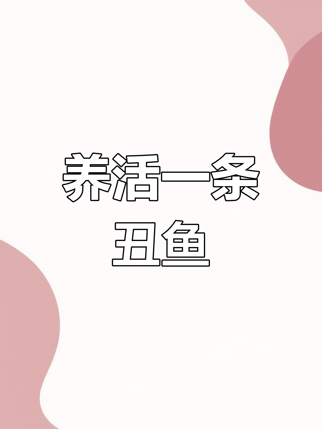 老鼠鱼变美,半年能长二斤!