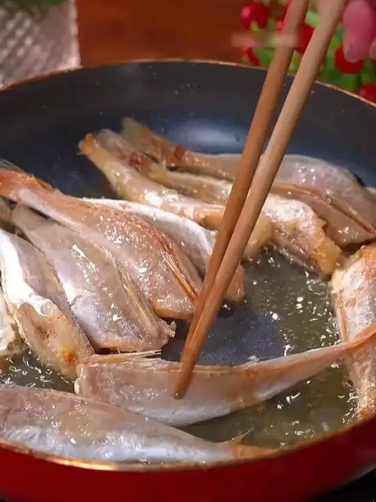 红娘子鱼又来大活动了