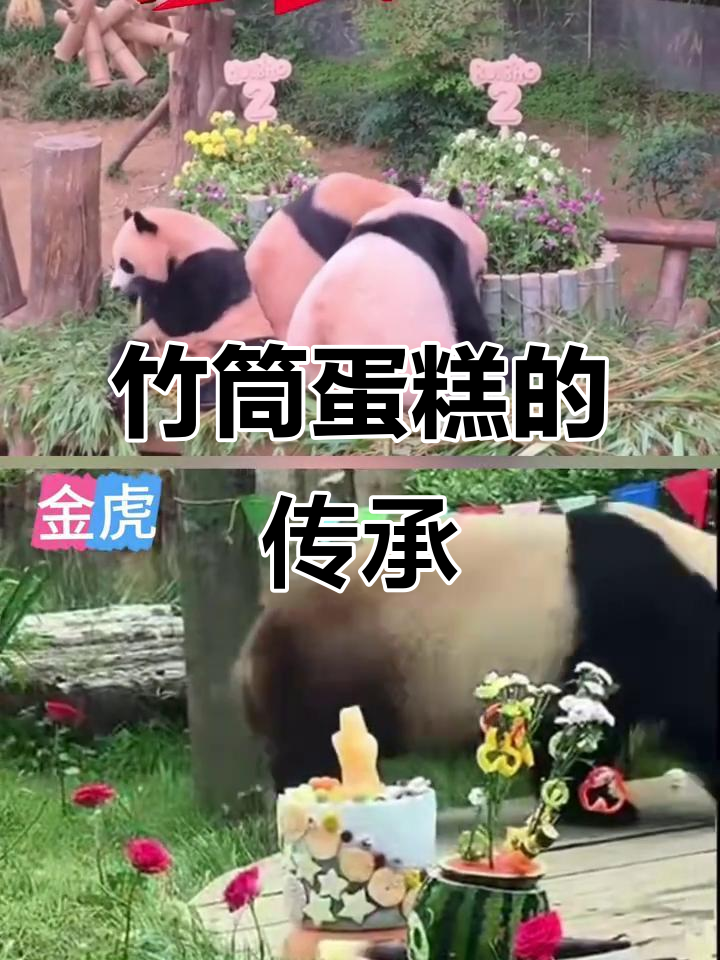 2025年生日宴上的竹筒蛋糕,传统美味历久弥新!