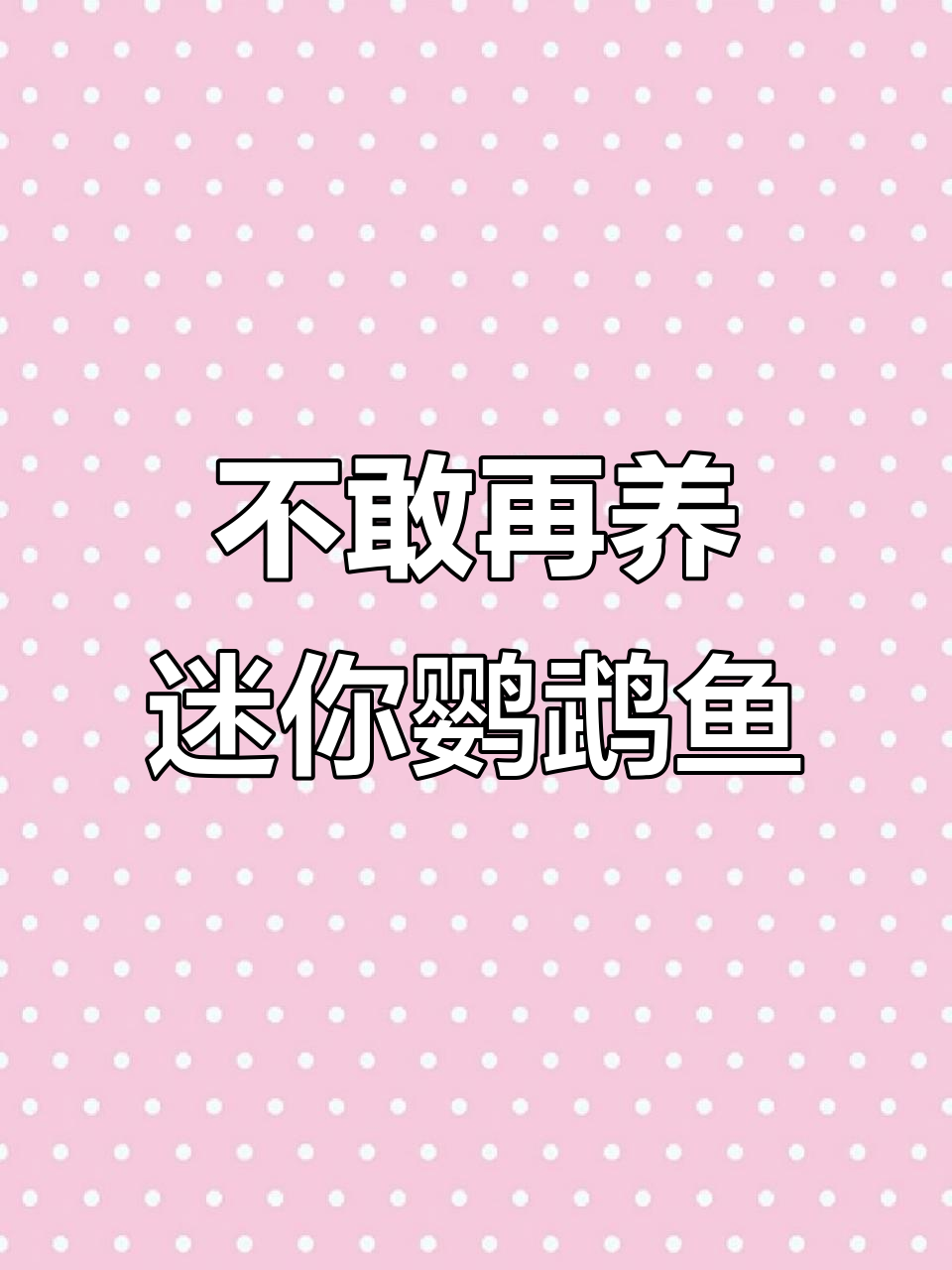 迷你鹦鹉鱼和玛丽泰式金鱼混养,结果惊呆了!