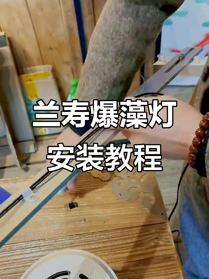 兰寿爆藻灯安装全流程,轻松搞定鱼缸照明