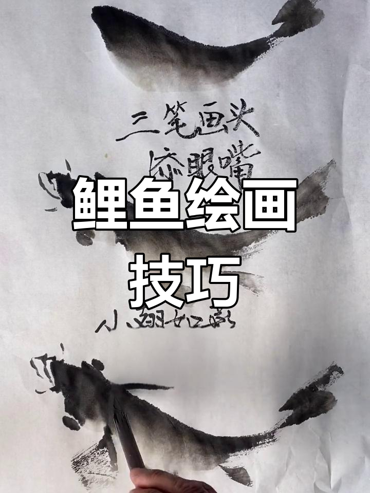 画鲤鱼五步,身尾头鳍一气呵成,鳞片细节巧妙添加