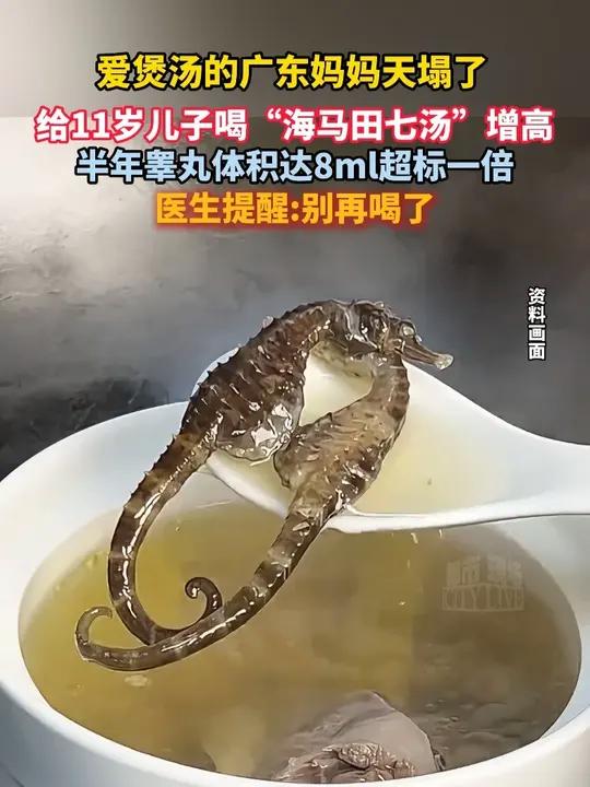 爱煲汤的广东妈妈天塌了 给11岁儿子喝“海马田七汤”增高 半年睾丸体积达8ml超标一倍