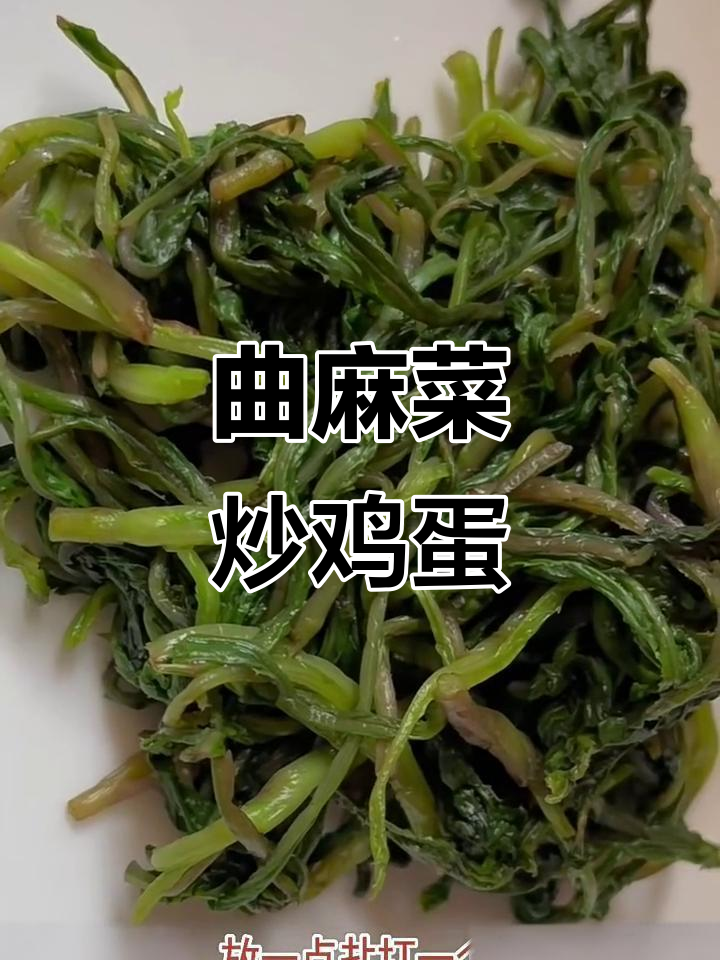 曲麻菜炒蛋,营养丰富又美味