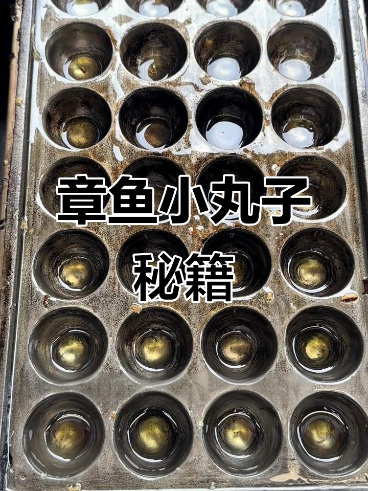 20年经验教你轻松做章鱼小丸子,零基础也能上手!