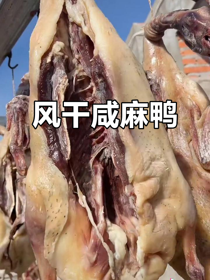安徽特产黑毛麻鸭,老鸭子晒干咸香美味