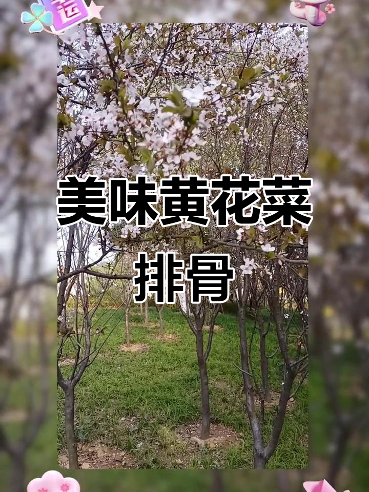 黄花菜排骨汤,鲜美浓郁,肉香四溢,绝对让你停不下来!