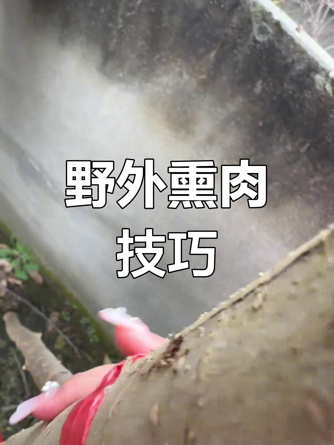 野外生存技能:如何搭建熏肉架与防风罩,保存肉类更美味