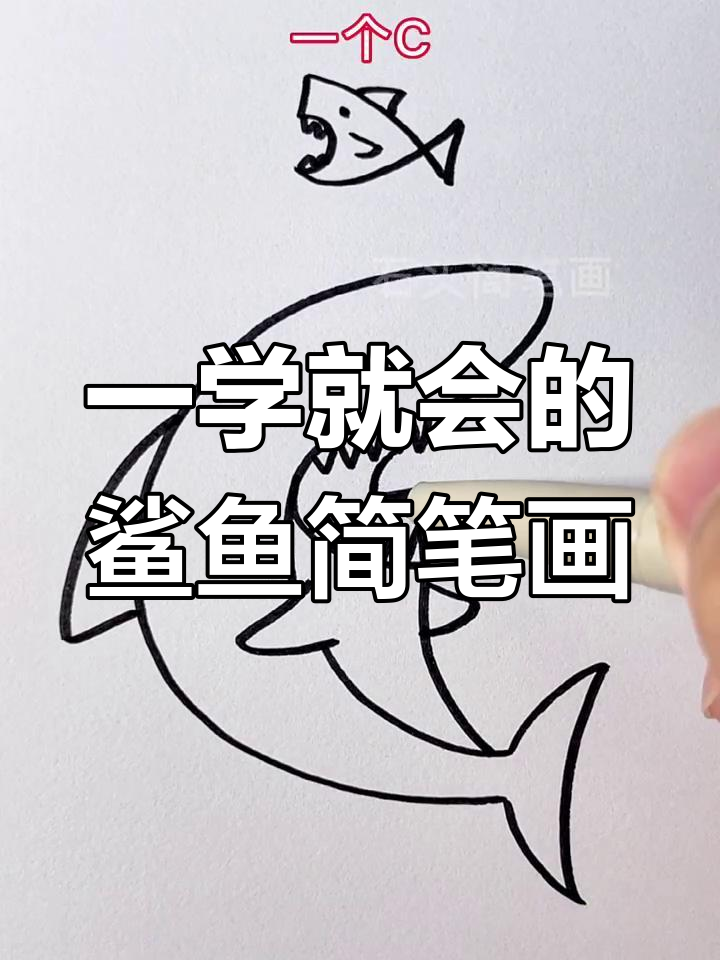 轻松学会画鲨鱼,步骤简单又有趣
