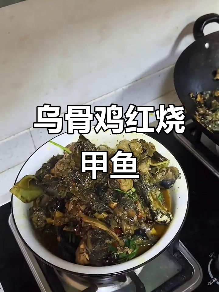 红烧乌骨鸡与甲鱼的美味搭配，滋补又美味