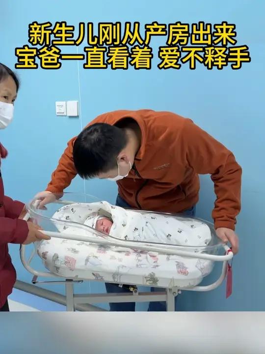 新生儿刚从产房出来宝爸一直看着 爱不释手