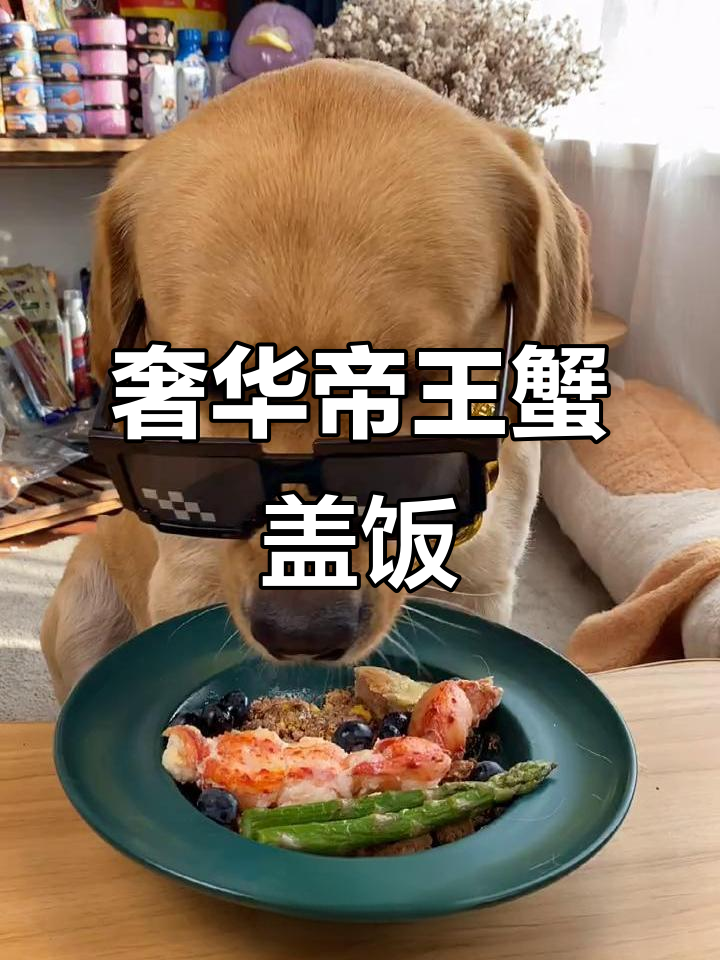 帝王蟹、鹅肝配芦笋蓝莓,豪华盖饭来袭!