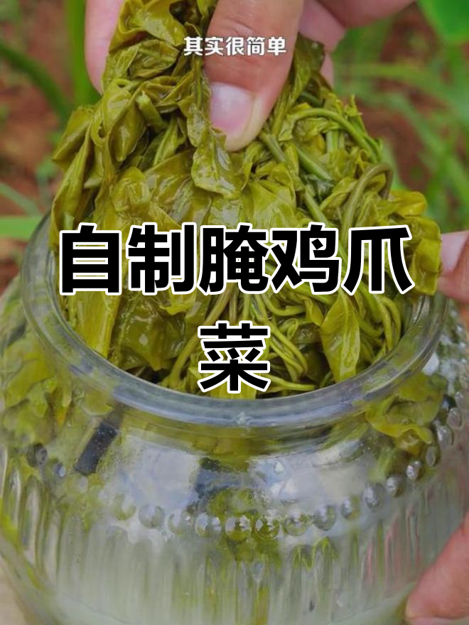云南家乡味:腌鸡爪菜,酸爽又开胃