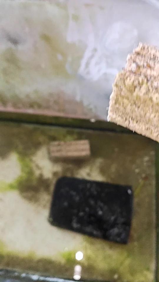 哥们家里的鱼缸不要错过