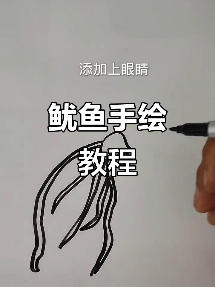 手绘鱿鱼超简单,轻松掌握!
