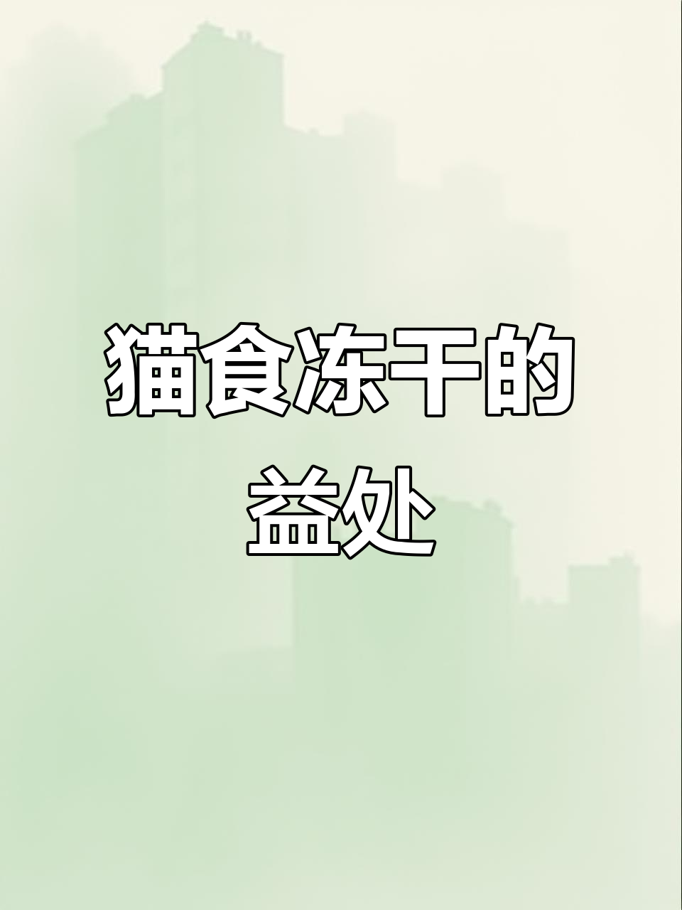 猫咪吃冻干生骨肉的三大好处,营养又健康