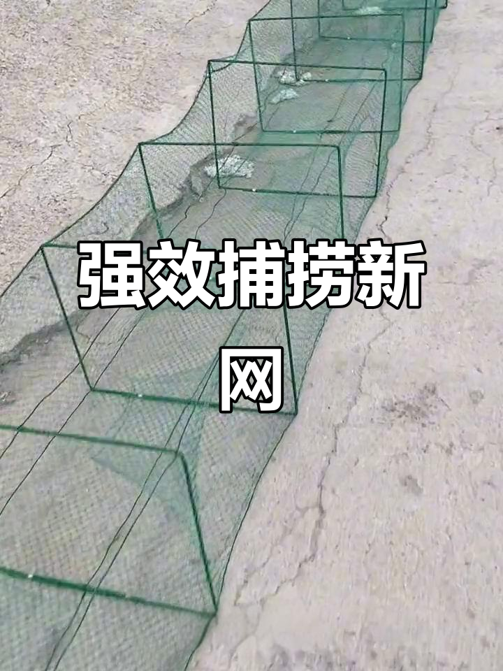 新型捕鱼网设计,防逃倒须强效捕捉