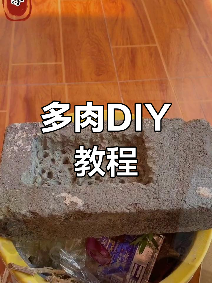 手工制作多肉植物