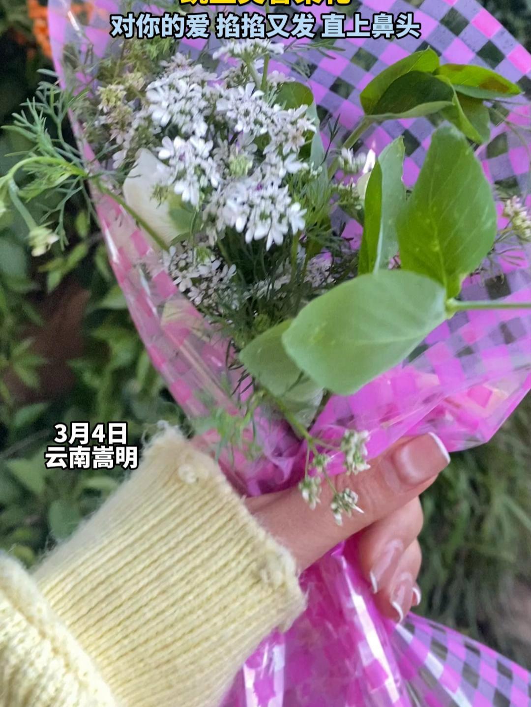 云南嵩明这一捧蔬菜花是否接得住,豌豆尖香菜花,对你的爱,掐掐又发,直上鼻头 遇见嵩明 豌豆