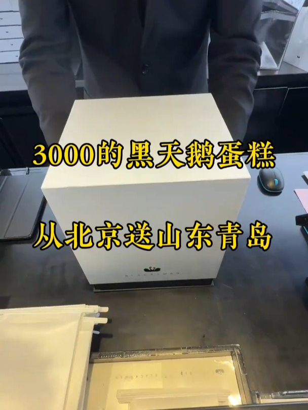 3000块的黑天鹅蛋糕从北京坐高铁送山东青岛