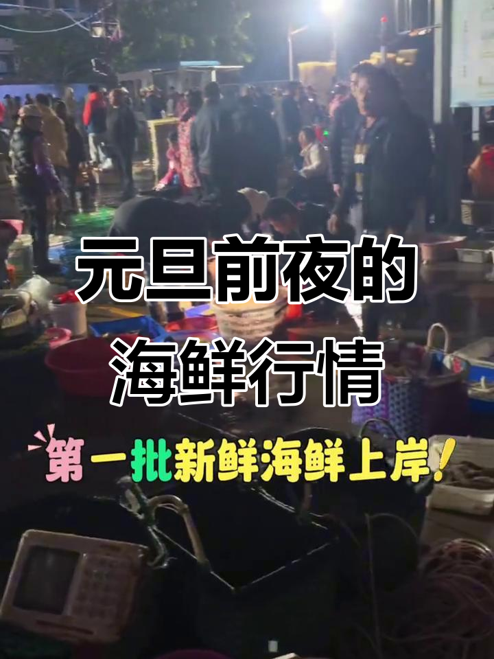 凌晨五点电建码头,元旦海鲜大变样!新鲜明虾、白鲳等你尝