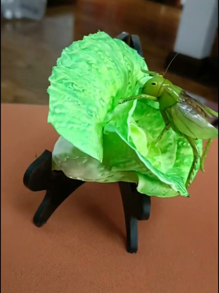 手办粘土白菜蝈蝈