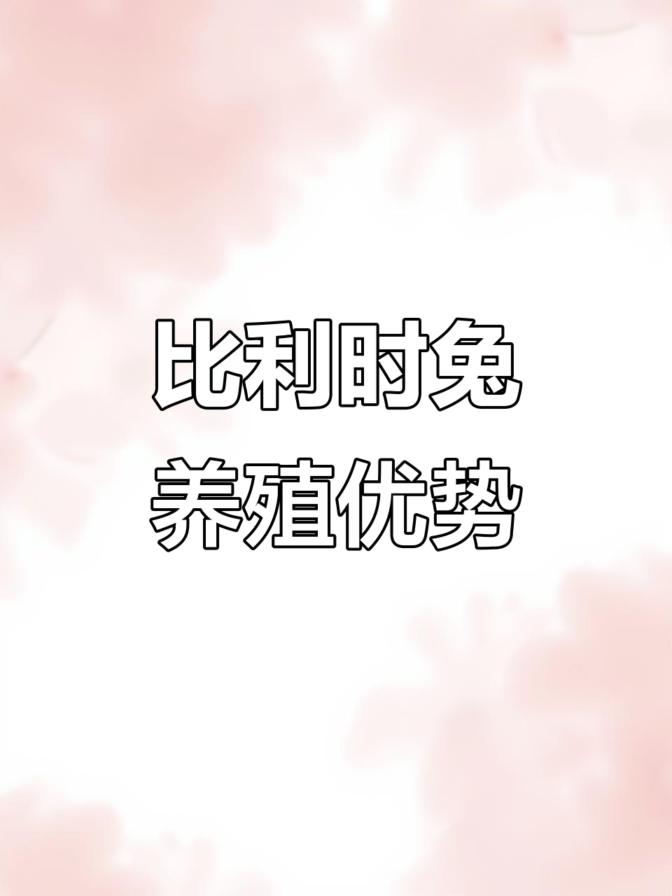 比利时兔养殖技巧:散养抗病能力强,成年体重12斤左右