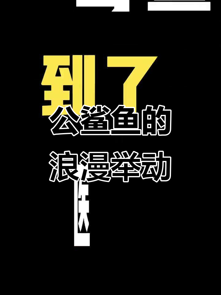 公鲨鱼打晕母鲨,只为拍婚纱照?冷笑话来袭