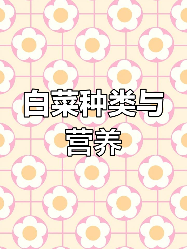 白菜品种大揭秘,营养各不同