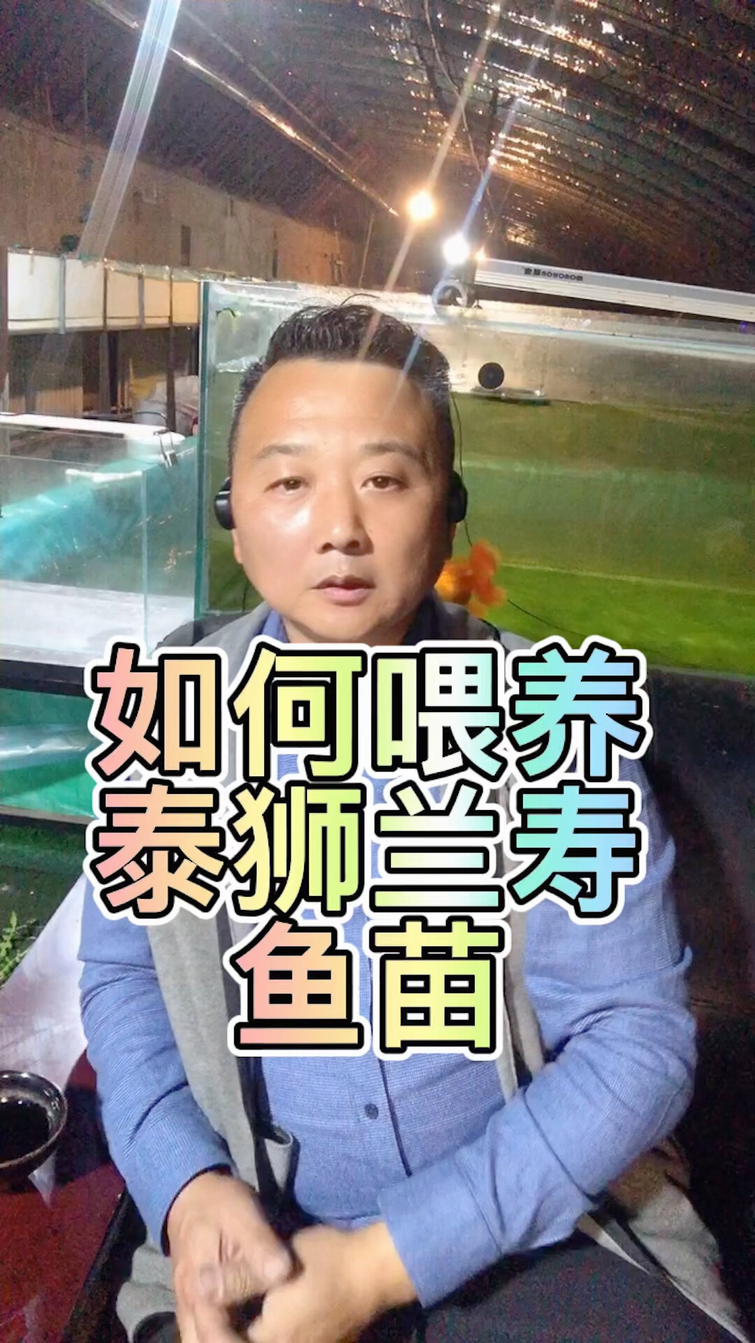 渔夫哥金鱼小课堂-如何喂养泰狮兰寿鱼苗