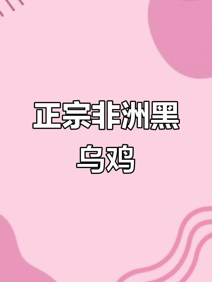 非洲快大黑乌鸡苗活泼可爱,养殖老板提前预定!
