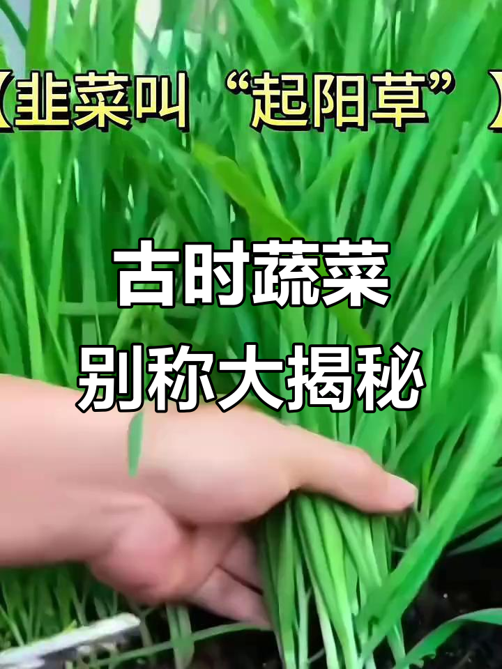 古代蔬菜的奇特叫法，竟然有这么多！