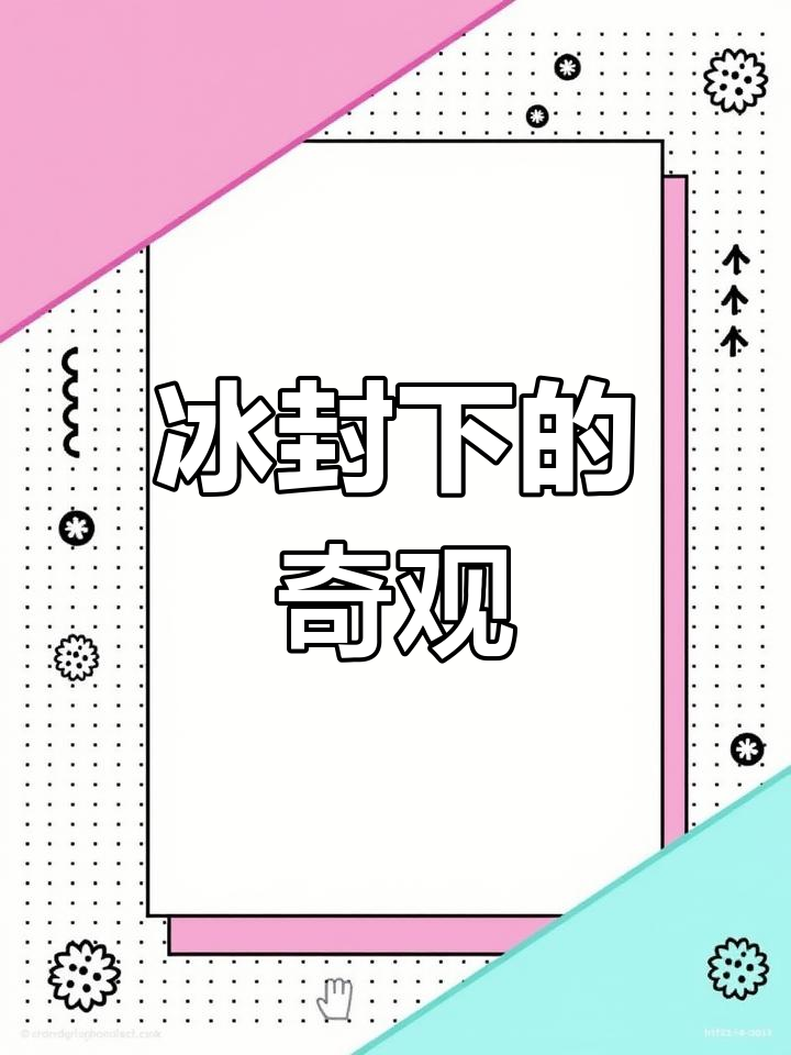 黑龙江冬捕盛景,冷水鱼种类繁多,尽显东北独特风情