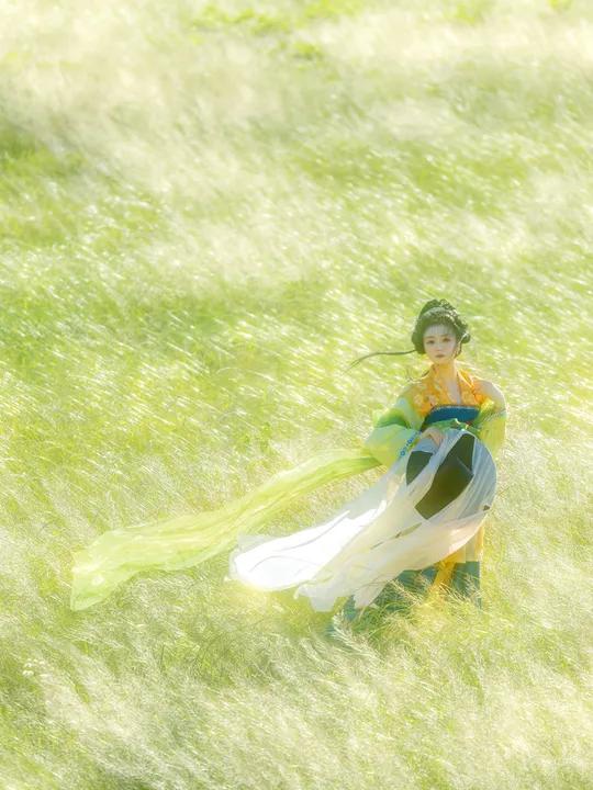 大唐女儿行|盛唐吹来自由的风。夏天的野油菜拍出来像画儿一样!为了不破坏成片视觉,拍摄小ti