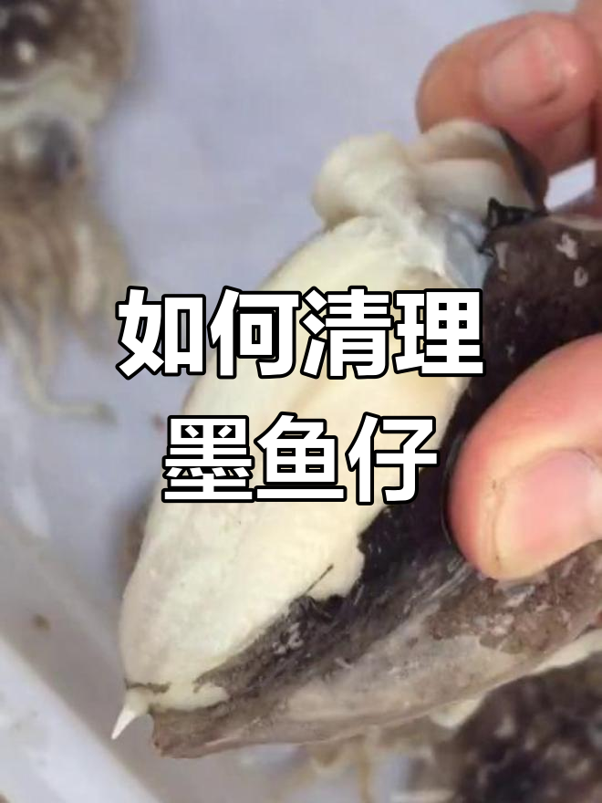 墨鱼仔清洗技巧,轻松去籽步骤全解