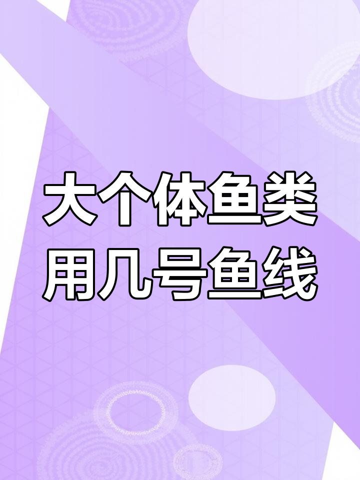 垂钓大鱼时,如何选择合适型号的钓鱼线?