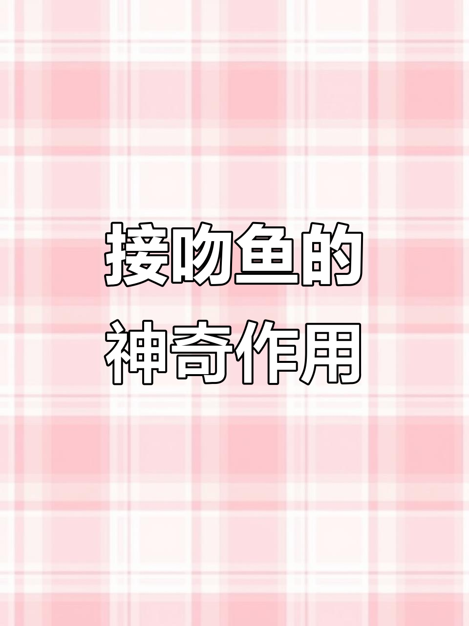 呆萌接吻鱼,帮你清理鱼缸又可爱