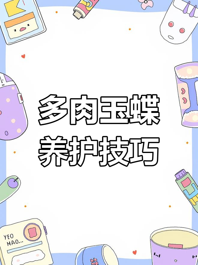 如何养护多肉玉蝶,让它健康肥美?