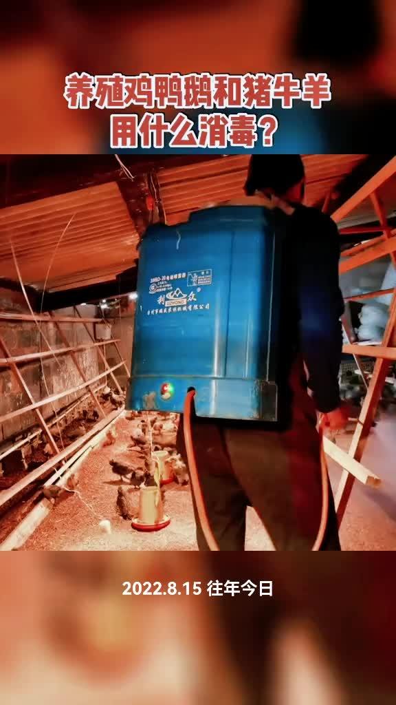 养殖 养鸡 家禽养殖 鸡鸭鹅养殖 过硫酸氢钾消毒剂