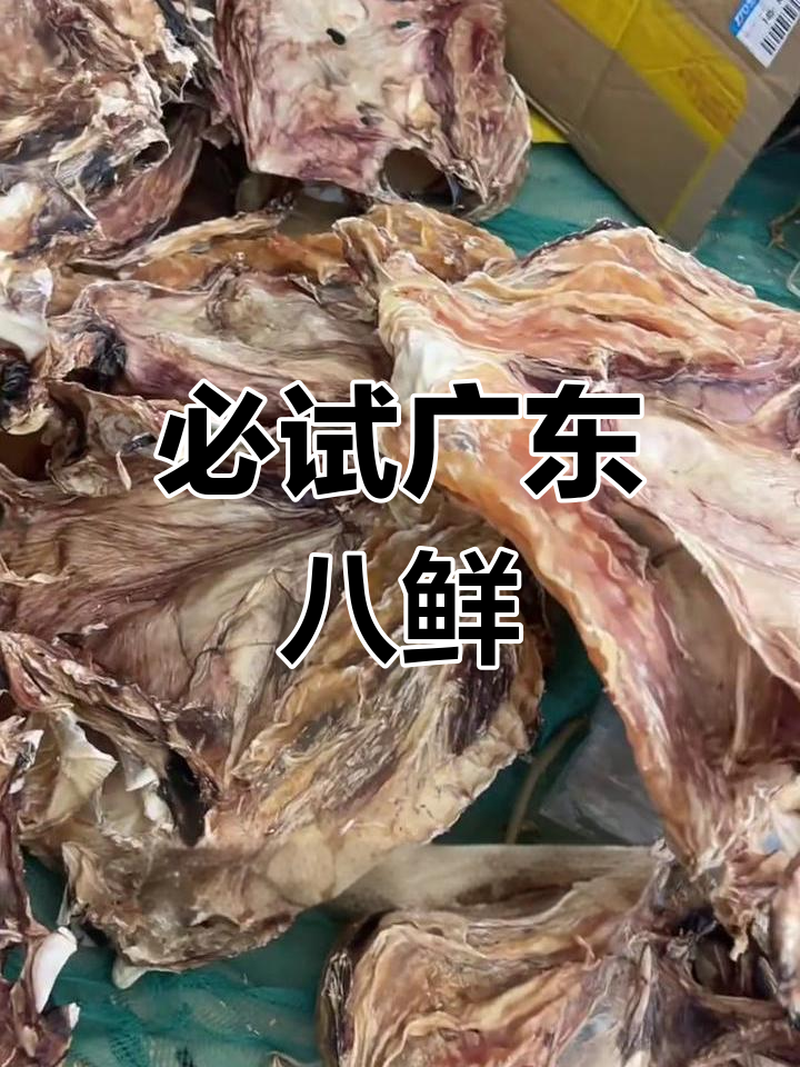 广东八鲜,渔民货大揭秘!猪脚汤、白萝卜等美味不容错过