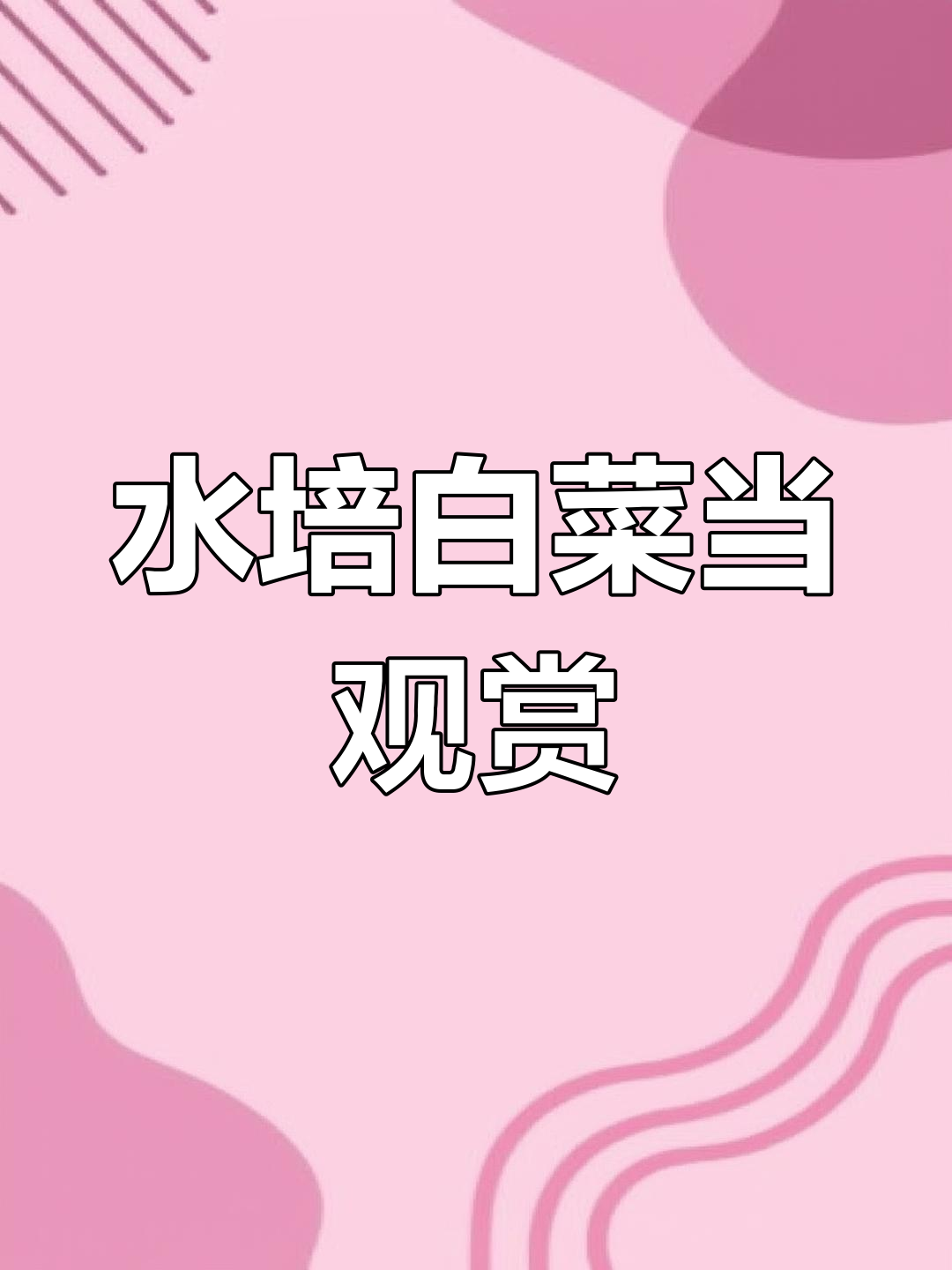 4月2日,上海男子水培白菜既美观又可食用