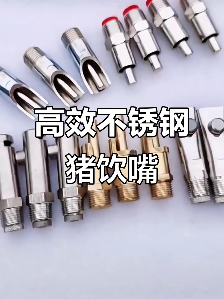 不锈钢猪用饮水器，防喷溅设计让喂水更方便