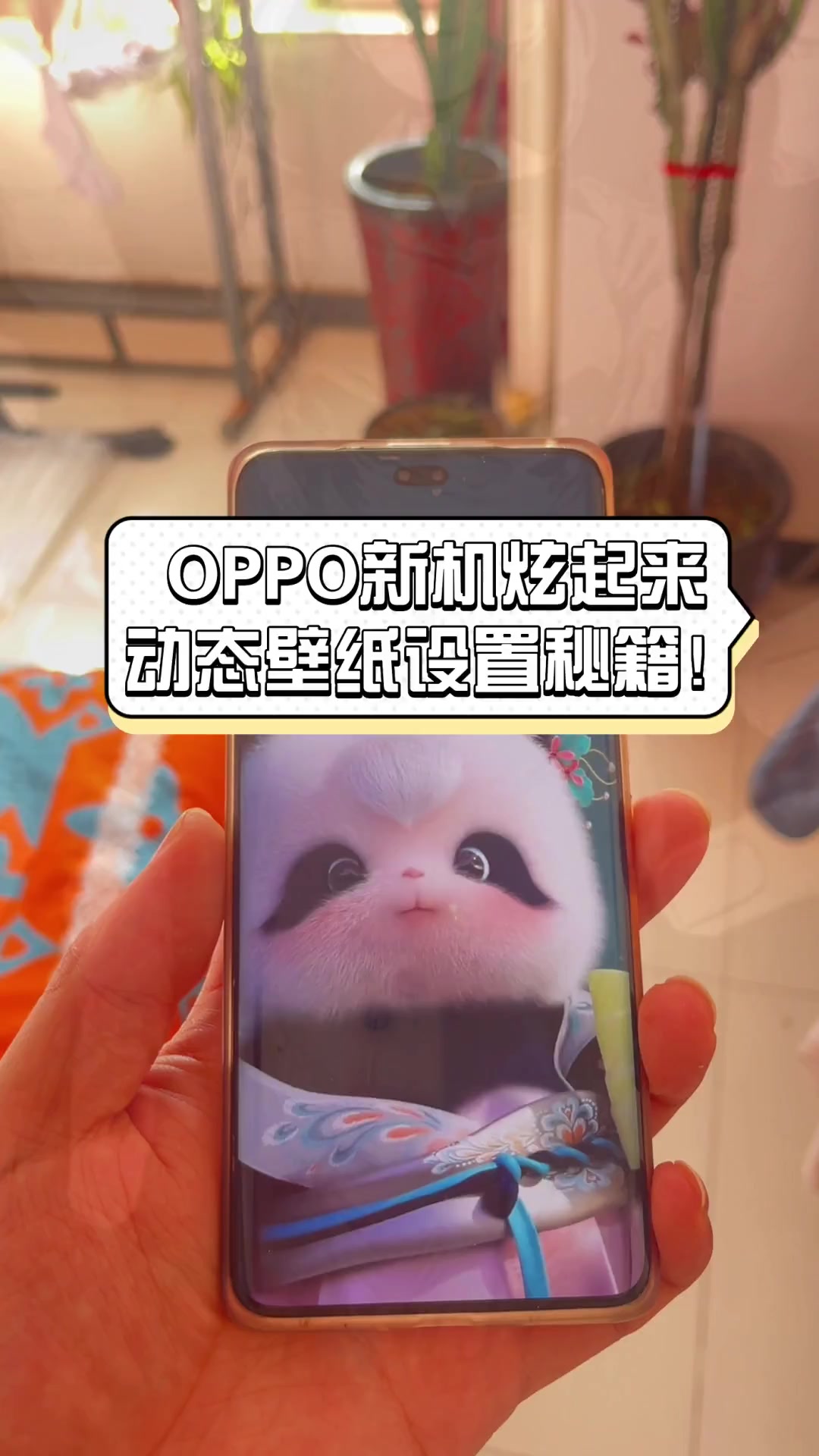 OPPO新机炫起来,动态壁纸设置秘籍!