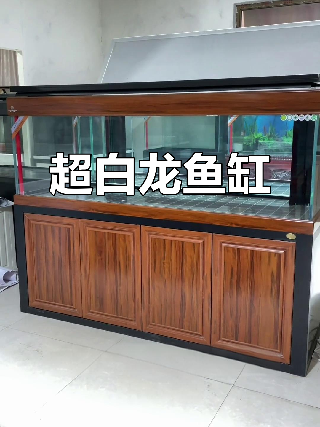 2米7龙鱼缸，超白玻璃底滤设计，LED灯光搭配